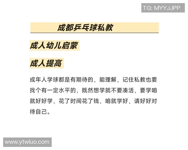 乒乓球新手必看：从零基础到比赛高手的实用技巧与经验分享