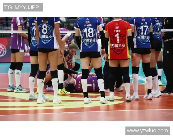 北京排球队在全国排球技术排行榜中荣登第八名展现强劲实力与潜力 北京排球队在全国排球技术排行榜中荣登第八名展现强劲实力与潜力