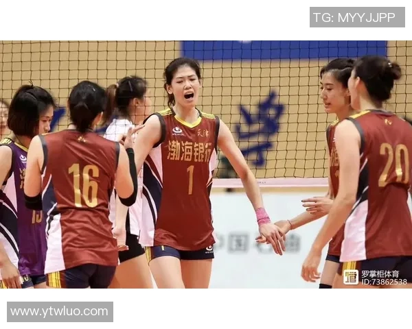 杭州排球队状态对比深度解析与未来展望